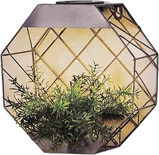 DIVAS SPIRITUAL Hexagonal Wall Planter Grey (Grey)