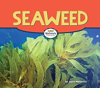 Seaweed