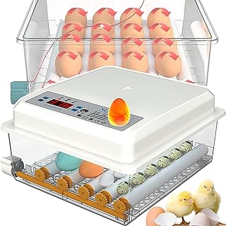 حاضنة بيض 6 بيضات، حاضنة بيض مع دوران البيض التلقائي ومراقبة درجة الحرارة والرطوبة، للدجاج والبط والاوز، شمعة بيض مدمجة