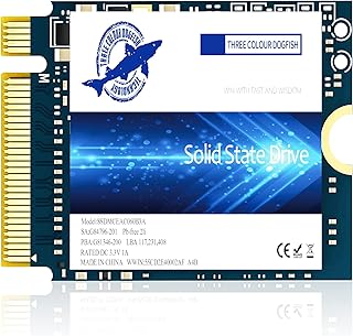 SSD M.2 2230 NVMe PCIe 4.0 256GB 3D TLC NAND وسيط تخزين داخلي صلب للالعاب ستيم ديك بلاي ستيشن 5 سيرفس برو لابتوب سطح المكتب (M.2 2230 NVMe 4.0، 256GB) من دوج فيش