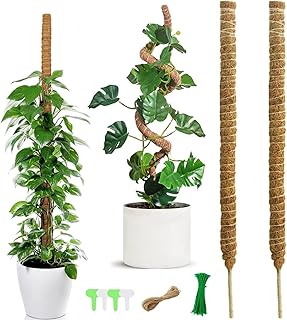 HTRTRR Monstera Trellis 120 cm, Set of 2 Flexible Moss Sticks, Coconut Plant Stick for Climbing Plants, Monstera Plant Support with Accessories, Indoor Trellis for Monstera Deliciosa