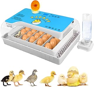 YJDayy Incubators for Hatching Eggs 15-35 Eggs Incubator with Automatic Egg Turning and ℉Temperature Display LED Egg Candler Poultry Incubator for Hatching Chicken Duck and Quail Egg Incubator(Blue)