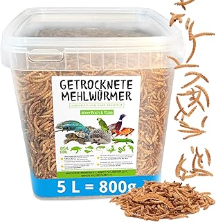 MeerBach Animal Mehlwürmer getrocknet ? 5 Liter (800 g) Futtermittel im Eimer ? der Proteinreiche Snack für Wildvögel, Fische, Reptilien, Schildkröten und Igel