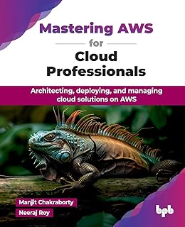 Mastering AWS for Cloud Professionals: Architecting, deploying, and managing cloud solutions on AWS (English Edition)