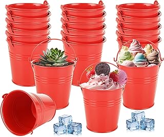 YOUNTHYE 24PCS Small Galvanized Buckets 4 inch Red Galvanized Metal Buckets Small Metal Buckets with Handles Galvanized Metal Small Tin Pails for Party Decor, Home Decor, Wedding Decorations