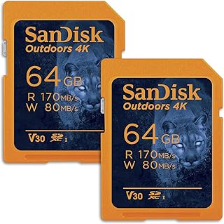 سانديسك بطاقة ذاكرة 4K SDXC UHS-I سعة 64GB بسعة 64GB بسعة تصل الى 170 ميجابايت/ثانية، C10، U3، V30، بطاقة SD لكاميرا تريل - SDSDXW2-064G-GN6V2