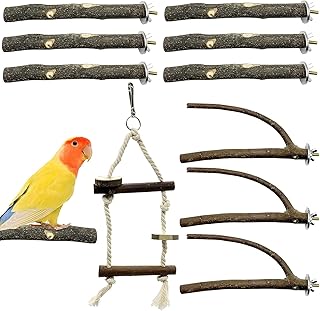 GIONAR 10 Pcs Natural Wooden Bird Perch, Natural Wooden Perches for Parrot, Interactive Perches for Bird Cage, Bird Toys for Parrot, Parakeet