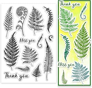 PH PandaHall Fern Leaf Clear Stamps Leaf Rubber Stamps Grass Plant Pattern Silicone Stamps Plants Words Transparent Seals for Scrapbooking Card Making Photo Album Decoration 6.3x4.3 inches