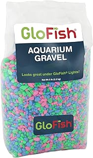 GloFish حوض السمك الحصى، الوردي-الأخضر-الأزرق الفلورسنت، 5 باوند، حقيبة الوردي-الأخضر-الأزرق الفلورسنت، 4 × 5 × 9 بوصات؛ 5 جنيه (29085)