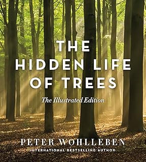 The Hidden Life Of Trees: The IllUStrated Edition