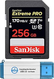 سانديسك بطاقة SD اكستريم برو 256GB SDXC UHS-I للكاميرات تعمل مع نيكون D3500, D7500, D5600 (SDSDXXY-256G-GN4IN) 4K UHD فيديو فئة 10 حزمة مع (1) قارئ بطاقة ذاكرة ايفريثينج بات سترومبولي 3.0