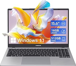 لابتوب فيورستور بشاشة 15.6 انش LPDDR5 RAM 16GB وذاكرة مستديمة SSD 512GB ومعالج N100 رباعي النواة Win-11 برو وشاشة FHD IPS وبطارية طويلة الامد وواي فاي 6 وبلوتوث وUSB-C وكاميرا ويب