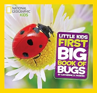 National Geographic Little Kids First Big Book of Bugs