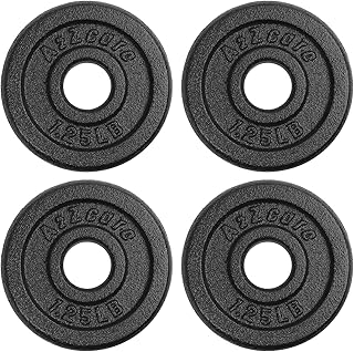 A2ZCARE 1 inch Weight Plates Set 1.25 lbs to 15 lbs, Standard Weight Plate, Cast Iron Weight Plate 1 inch, Dumbbell Plates, 1 inch Barbell Plates