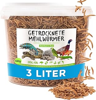 Dried Mealworms, 3 Litres (460 g) Feed in Bucket, Hedgehog Food, Bird Feed, Wild Birds, Protein-Rich Snack for Fish and Reptiles