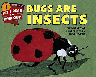 Bugs Are Insects