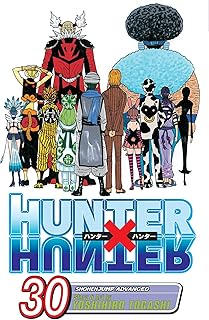 Hunter x Hunter, Vol. 30 (Volume 30)