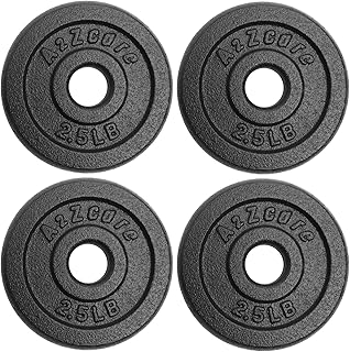 A2ZCARE 1 inch Weight Plates Set 1.25 lbs to 15 lbs, Standard Weight Plate, Cast Iron Weight Plate 1 inch, Dumbbell Plates, 1 inch Barbell Plates