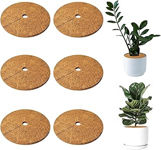 MeYuxg Pack of 6 Coconut Mat Plant Protection, 35 cm Coconut Disc, Coconut Mat, Winter Protection for Plants, Plant Protection, Frost Protection, Cold Protection, Protection Against Moisture and Frost