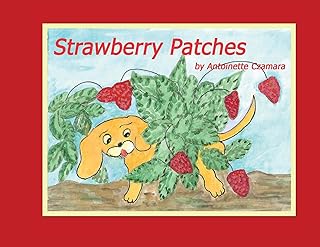 Strawberry Patches