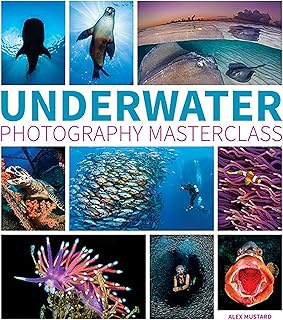 Ammonite Press Underwater Photography Masterclass