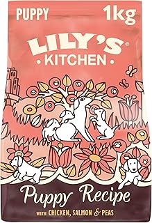 Lily's Kitchen Made with natural ingredients, dry food for puppies, salmon and peas, grain-free formula, 1 kg bag