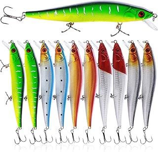 Sougayilang Fishing Lures Large Hard Bait Minnow VIB Lure with Treble Hook Life-like Swimbait Fishing Bait Popper Crankbait Vibe Sinking Lure for Bass Trout Walleye Redfish