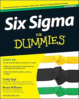 Six sigma for dummies