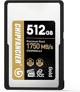 CHIPFANCIER 512GB CFexpress 4.0 Type A Card Up to 1750MB/s Read Speed & 1750MB/s Write Speed Type A Memory Card for RAW 4K/8K Video Recording Compatible with Sony Alpha Sony FX Cameras Gold