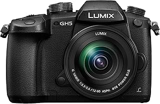 باناسونيك DC-GH5MEF-K, أسود