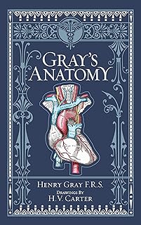 Gray's Anatomy (Barnes & Noble Collectible Classics: Omnibus Edition)