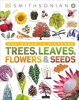 Trees, leaves, flowers and seeds: a visual encyclopedia of the plant kingdom