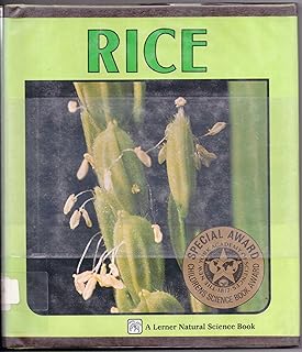 Rice