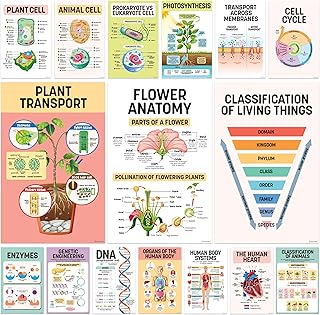 16 ملصق علمي للفصل الدراسي والمدرسة المتوسطة - 11 × 17 انش، ملصقات للفصول الدراسية العلمية والمدرسة الاعدادية، ملصقات علوم للفصول الدراسية والثانوية، ملصقات علم الاحياء
