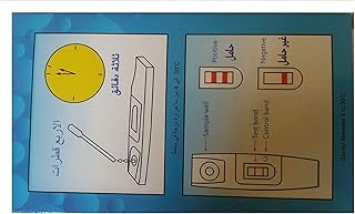 اختبار حمل منزلي دقيق من فيرست ستيب