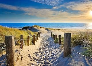 Beach Puzzles for Adults 1000 Puzzle Beach Access Wooden Pathway Pictures Puzzles for Adults Sea and Sand Dunes Landscape Puzzles Modern Bealtiful Beach Seacapes Puzzles for Men Lady Gifts